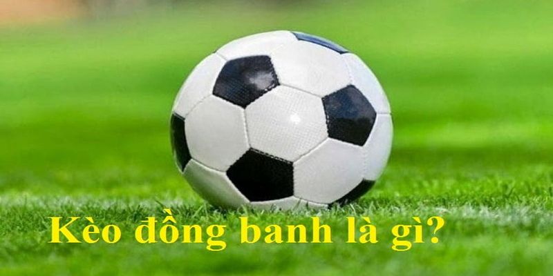 Giới thiệu kèo đồng banh tại 99ok
